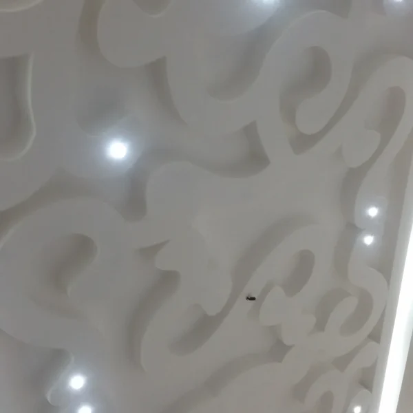 20170313_222942.jpg